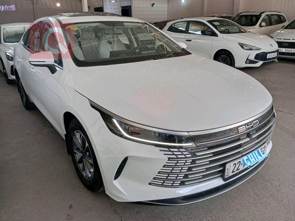 بي واي دي ديستروير 05